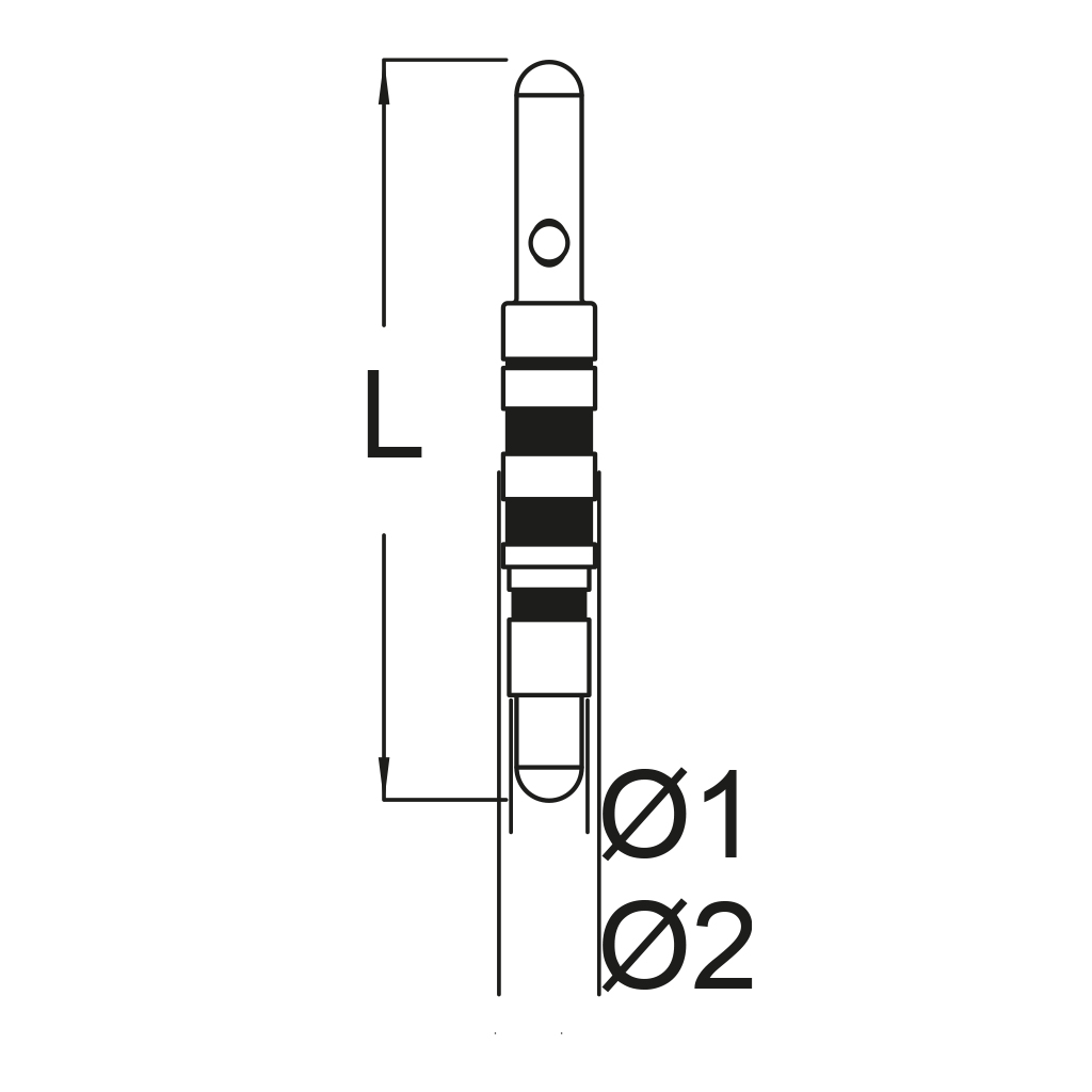 Sonda/Paralelizador ZM1 ZM4MT Zinic® MT