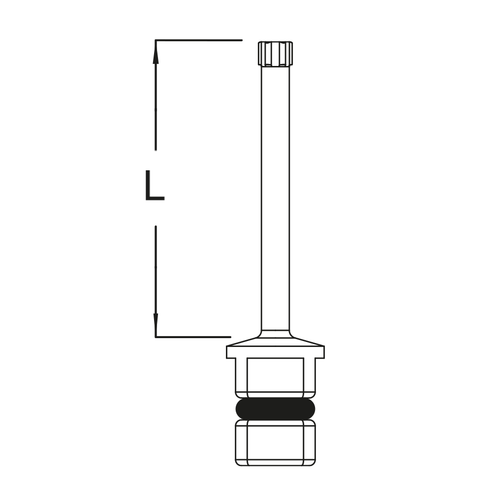 Punta de destornillador Torx6