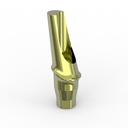 Anatomic 15° angled abutment + Kiran Cli.S.