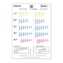 Radigraphic template Zinic®MT 