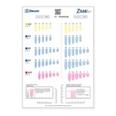 Plantilla radiográfica ZM4MT 